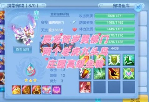 神武龙宫坐骑什么性格